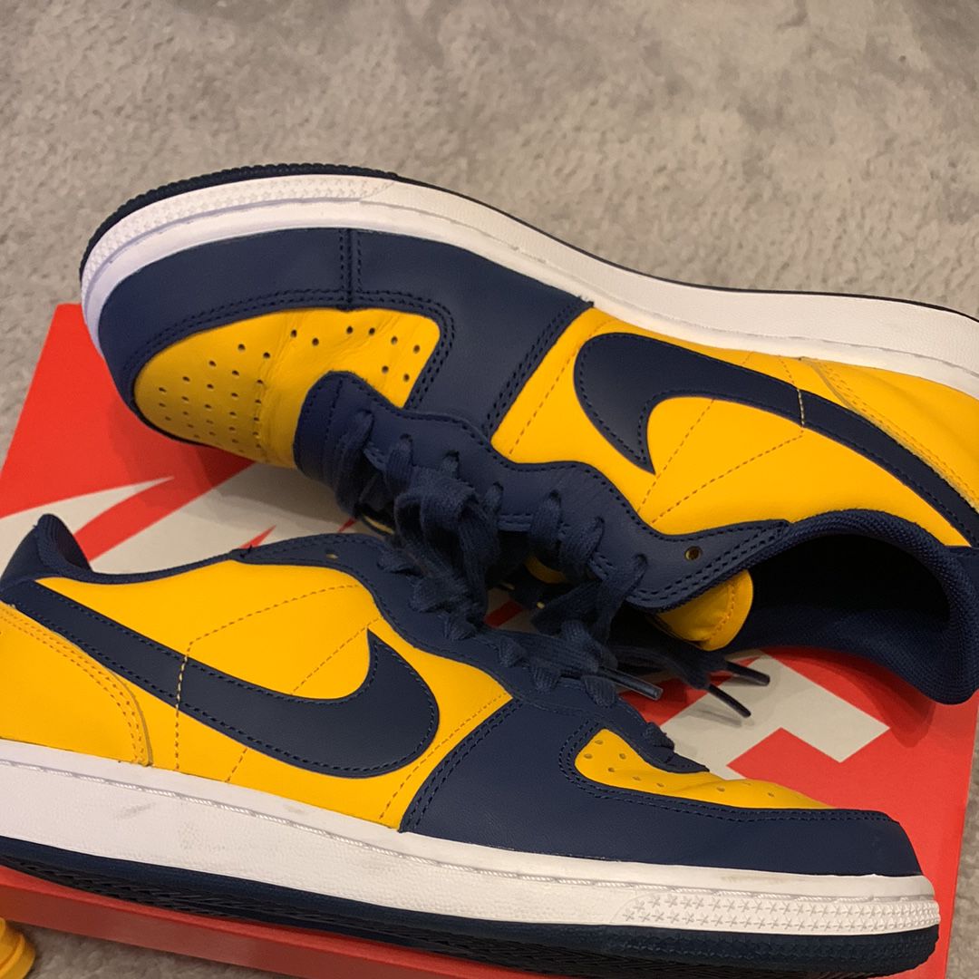 Nike Terminator Low "University Gold and Navy/Michigan"