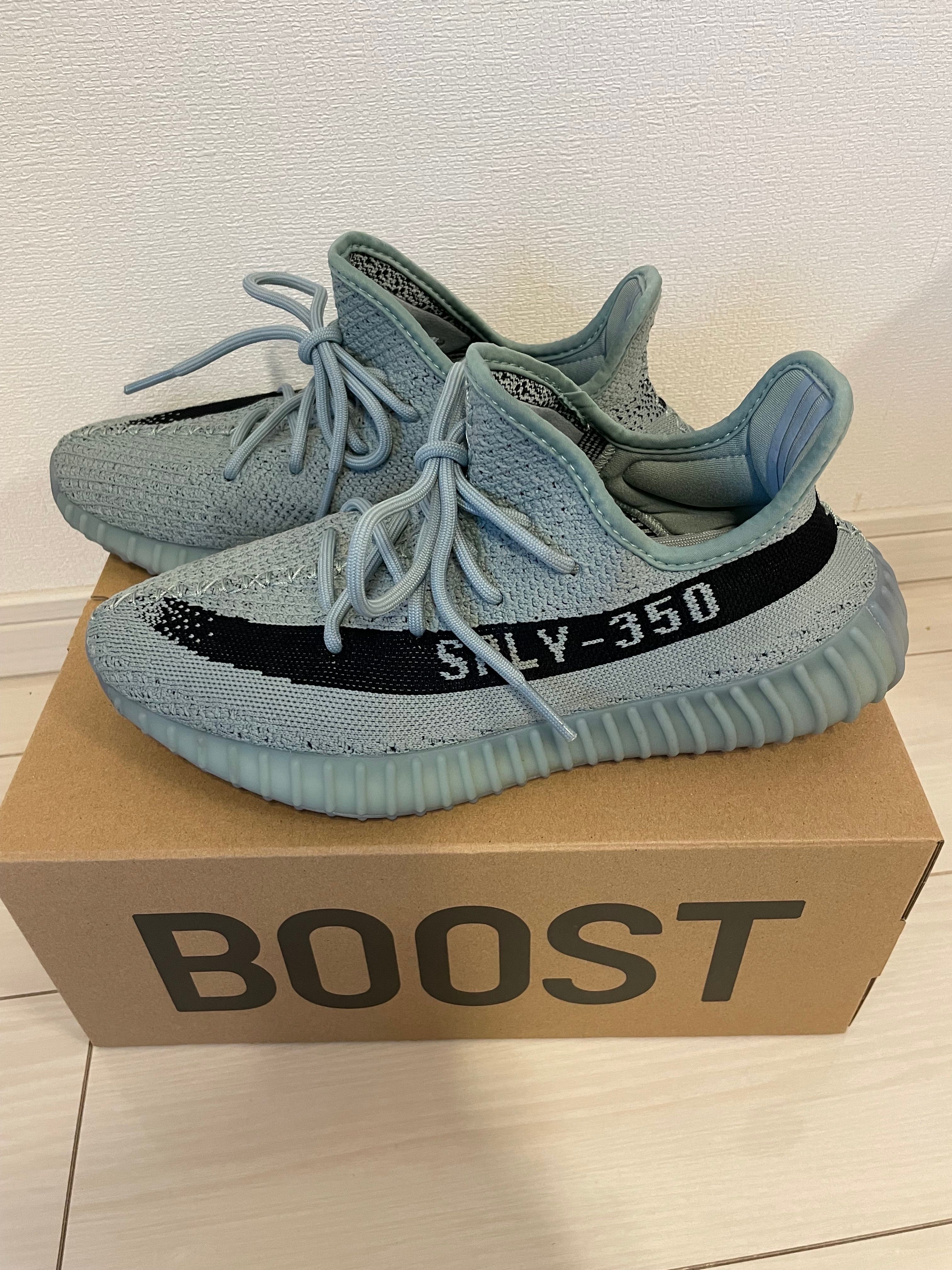 adidas YEEZY Boost 350V2 "Salt/Core Black"
