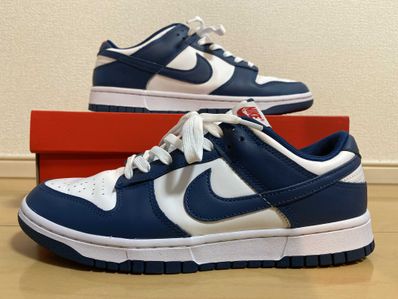 Nike Dunk Low "Valerian Blue"