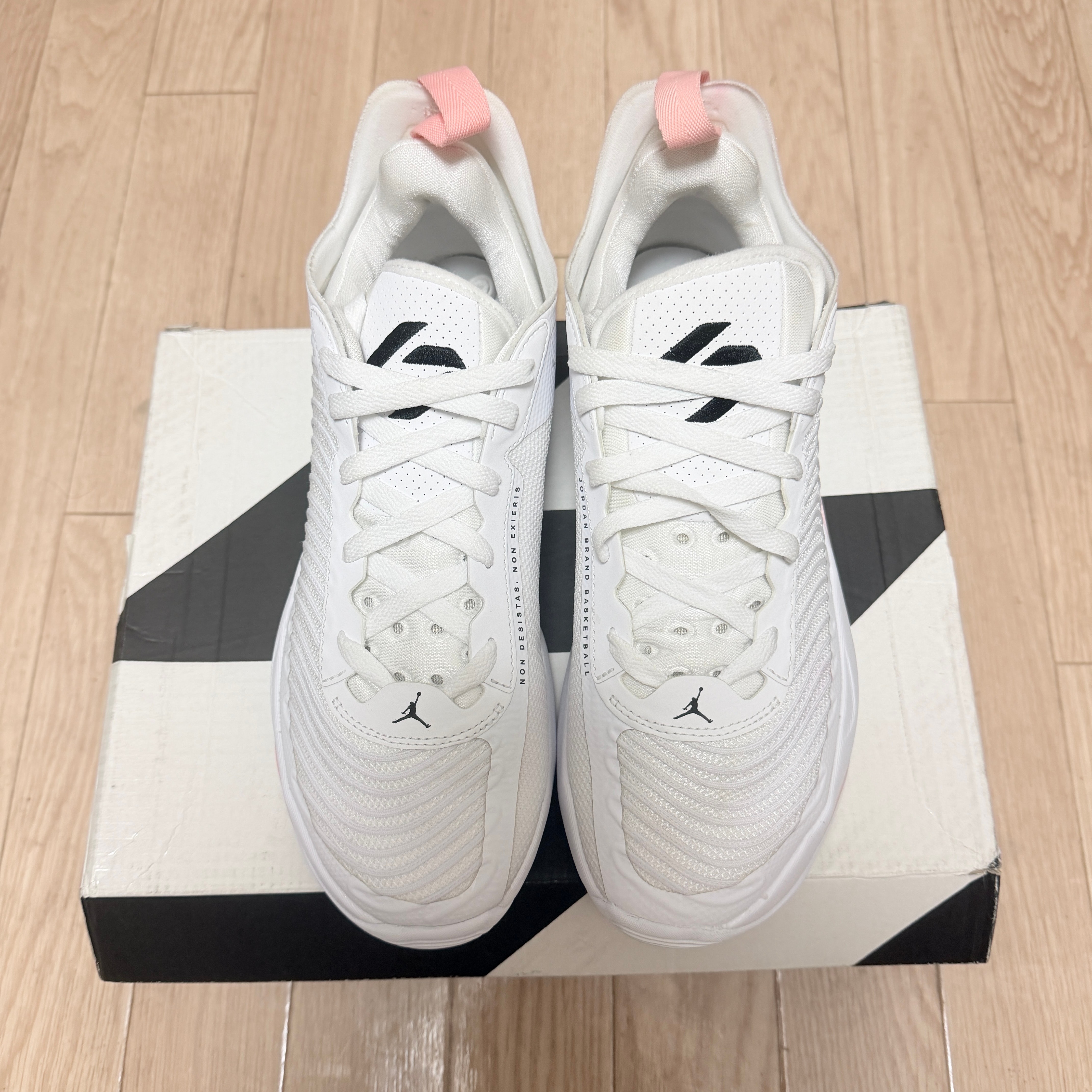 Nike Jordan Luka 1 "White/Bleached Coral/Sesame/Black"