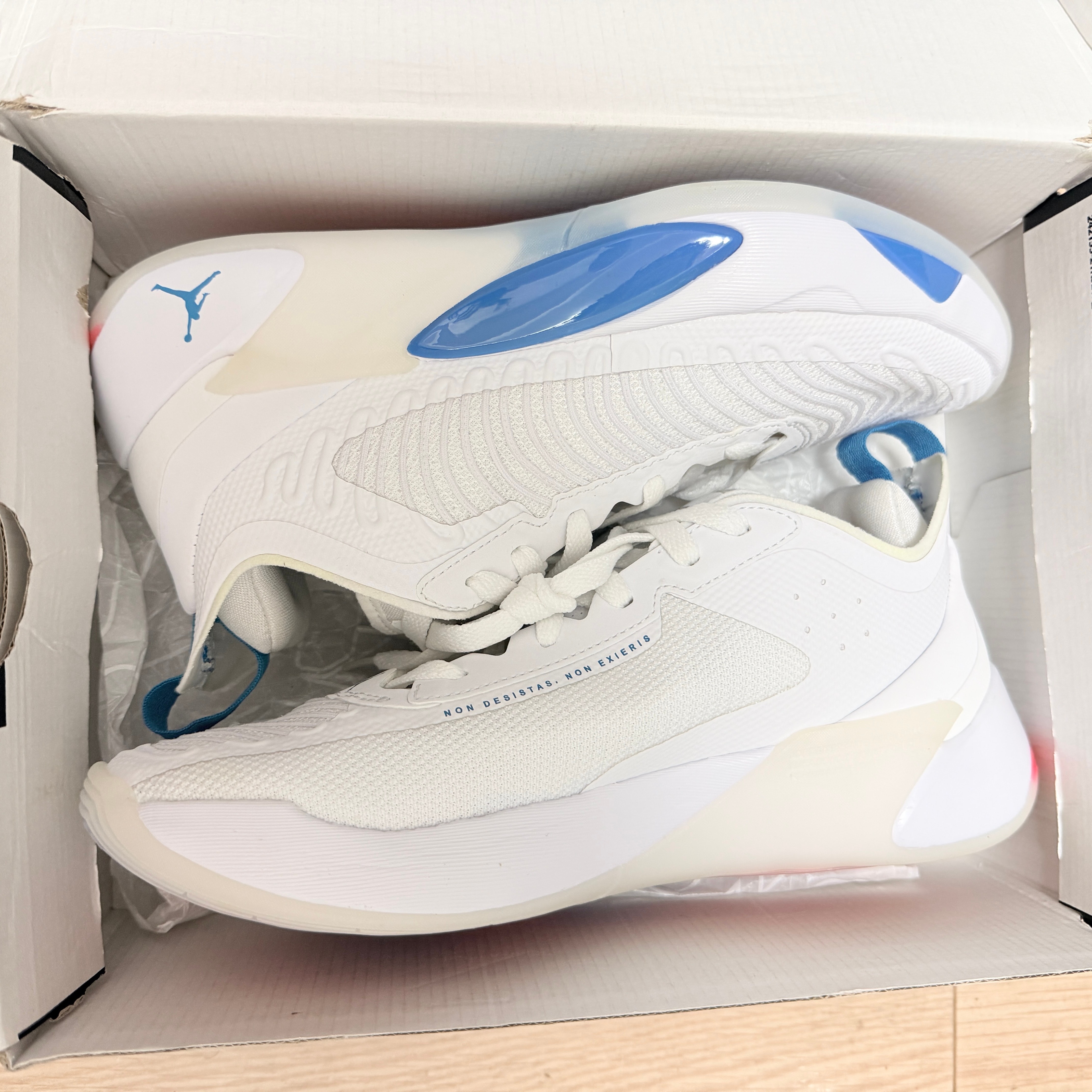 Nike Jordan Luka 1 