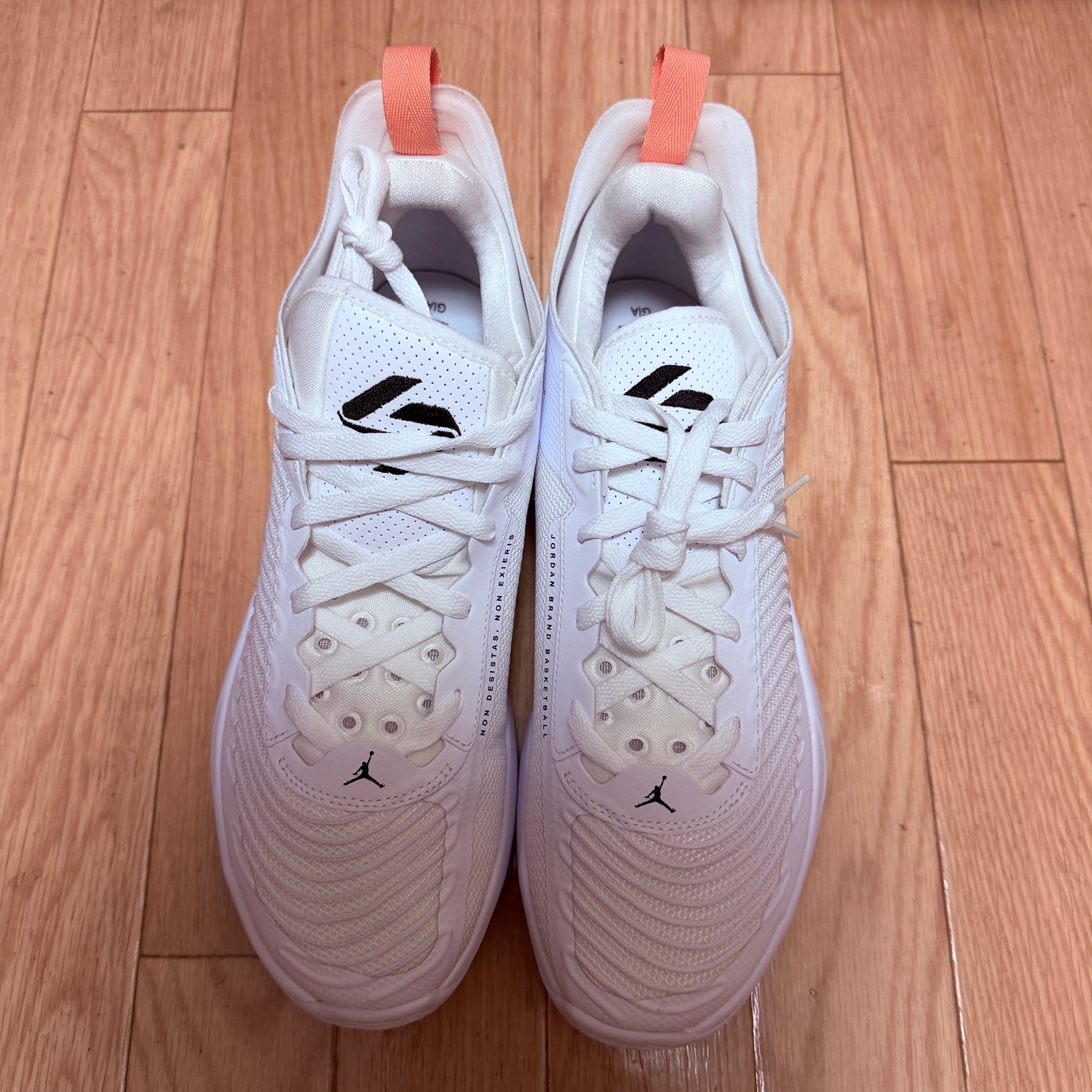 ナイキ ジョーダン ルカ1 "ホワイト/ブリーチド コーラル/セサミ/ブラック"