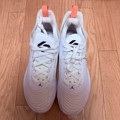 Nike Jordan Luka 1 "White/Bleached Coral/Sesame/Black"