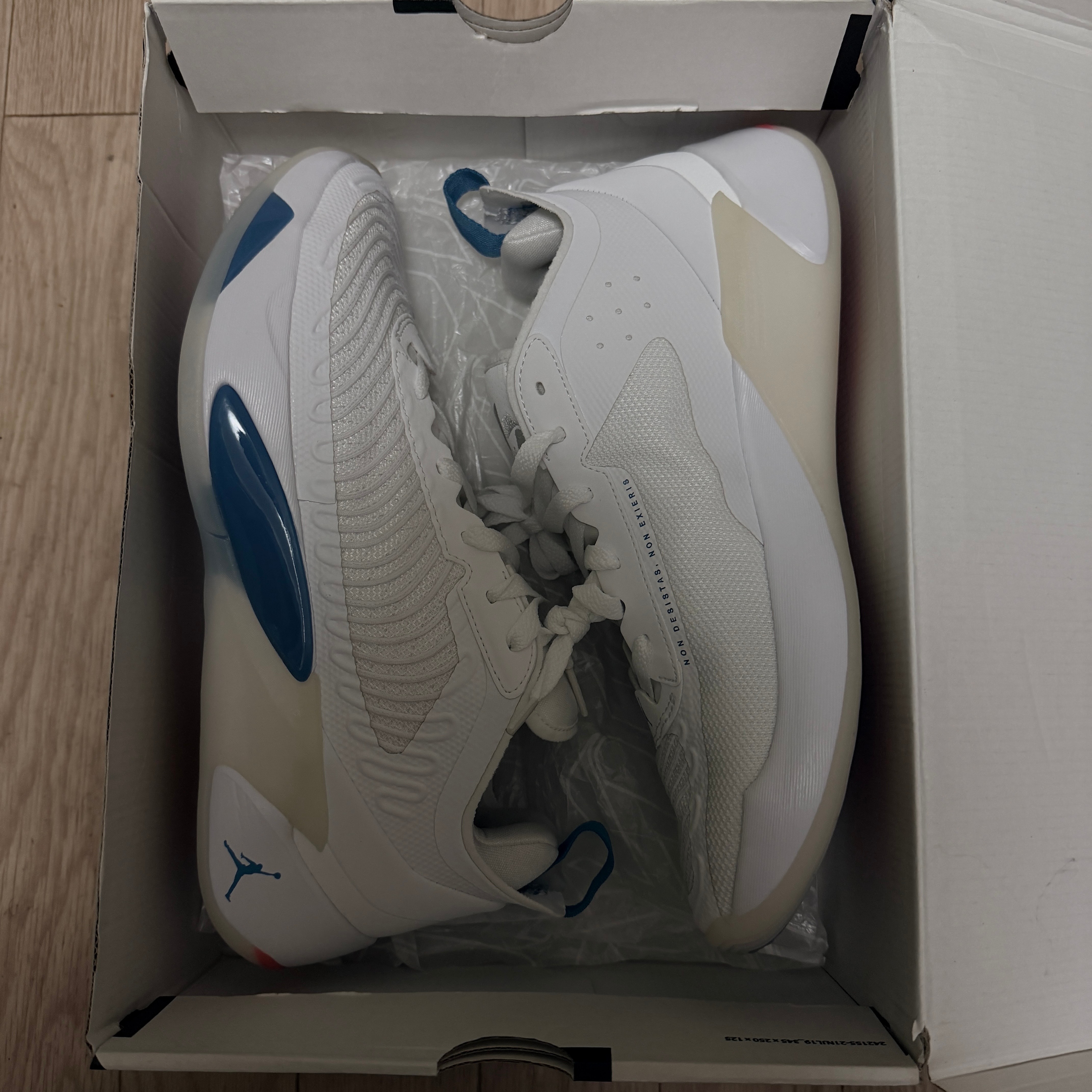 ナイキ ジョーダン ルカ1 "ネオ ターコイズ"