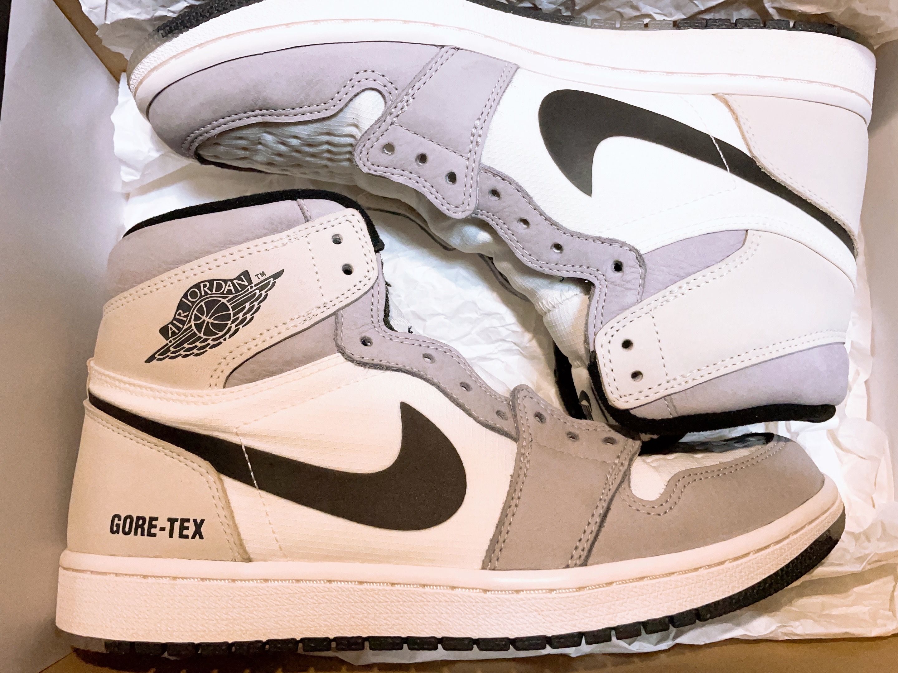 Nike Air Jordan 1 Element GORE-TEX "Sail"