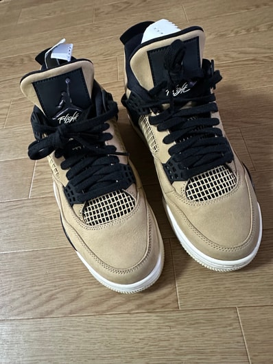 Nike Women's Air Jordan 4 "Mushroom"