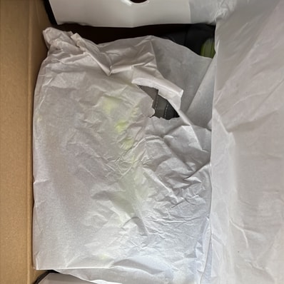 Nike Air Max 95 OG Big Bubble "Neon Yellow" (2025/2026)