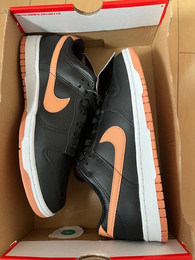 Nike Dunk Low Retro "Amber Brown"
