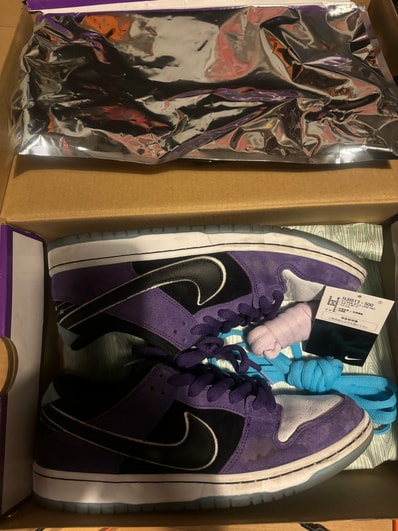 Hayley Wilson × Nike SB Dunk Low Pro "Black and Court Purple"
