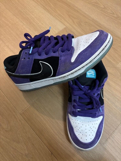 Hayley Wilson × Nike SB Dunk Low Pro "Black and Court Purple"
