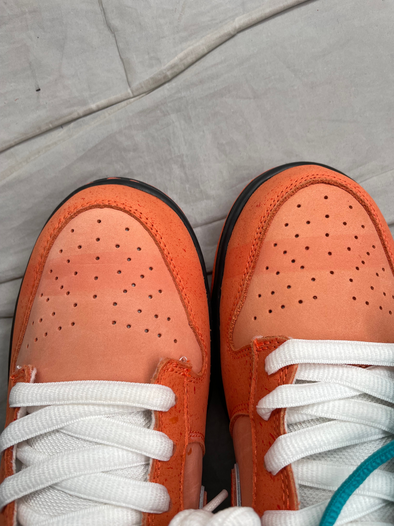 Concepts × Nike SB Dunk Low SP "Orange Lobster"