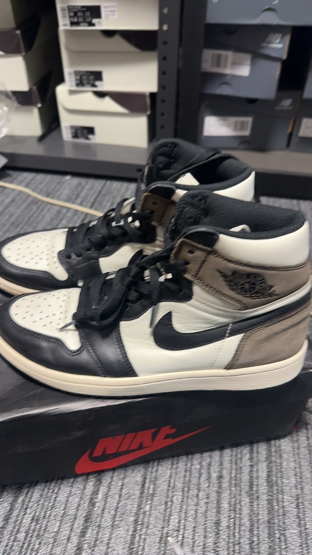 Nike Air Jordan 1 High OG "Sail/Dark Mocha/Black"