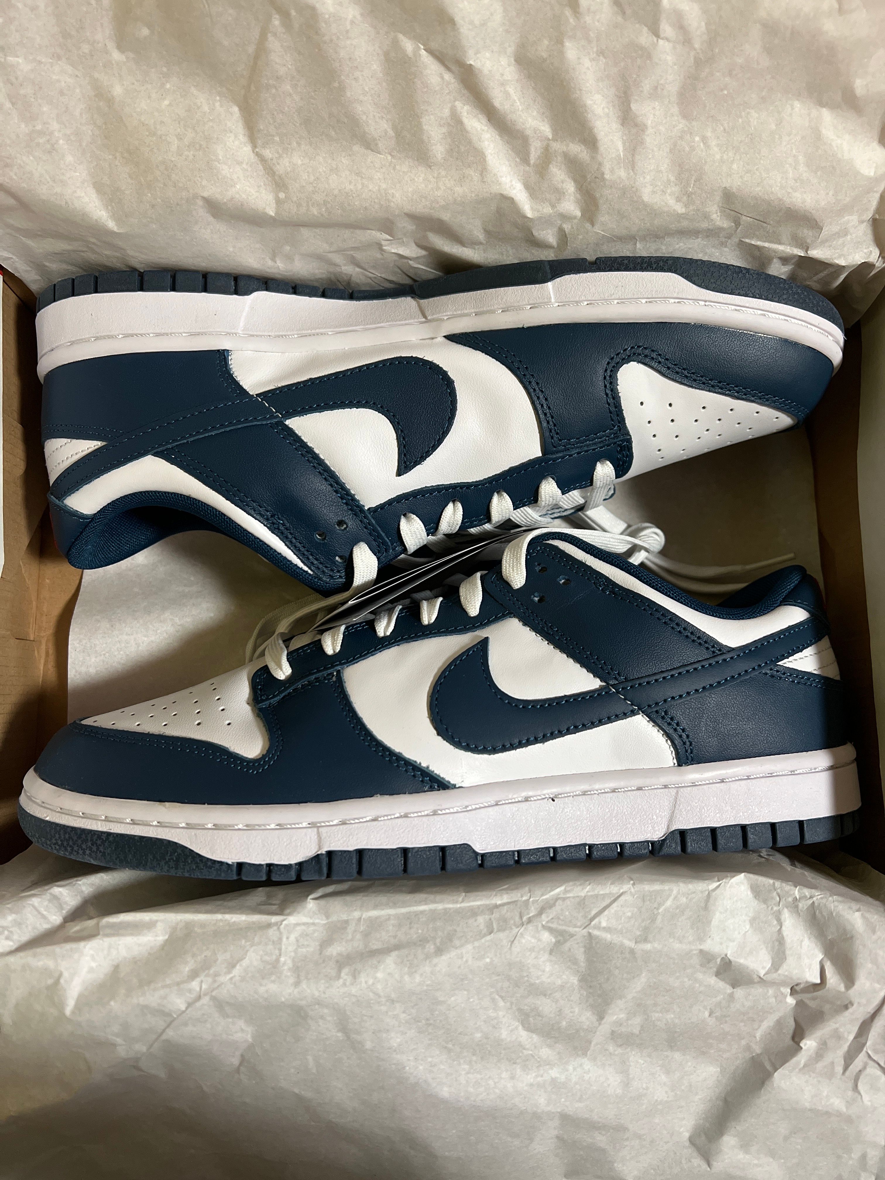 Nike Dunk Low "Valerian Blue"