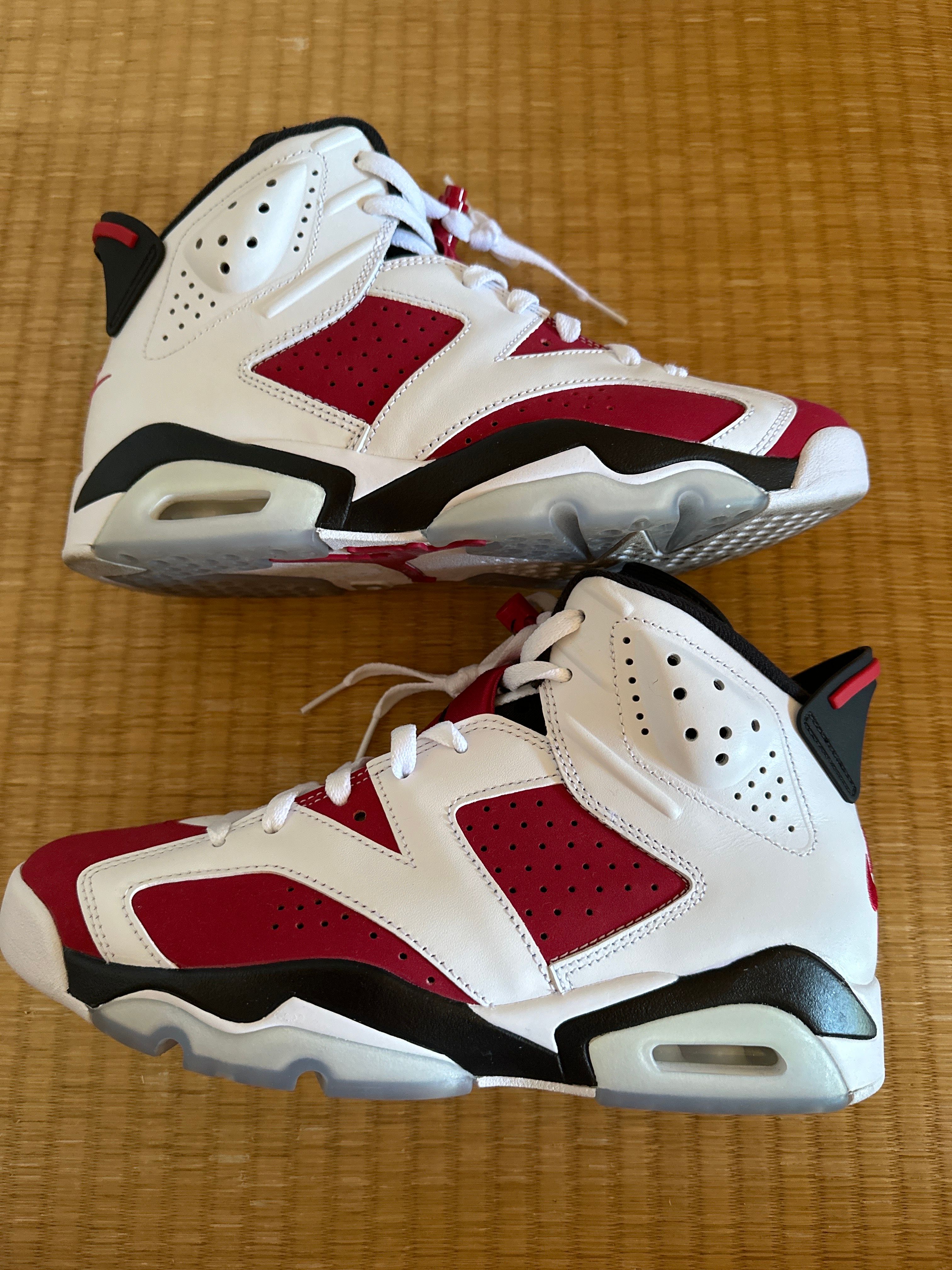 Nike Air Jordan 6 "Carmine" (2021)