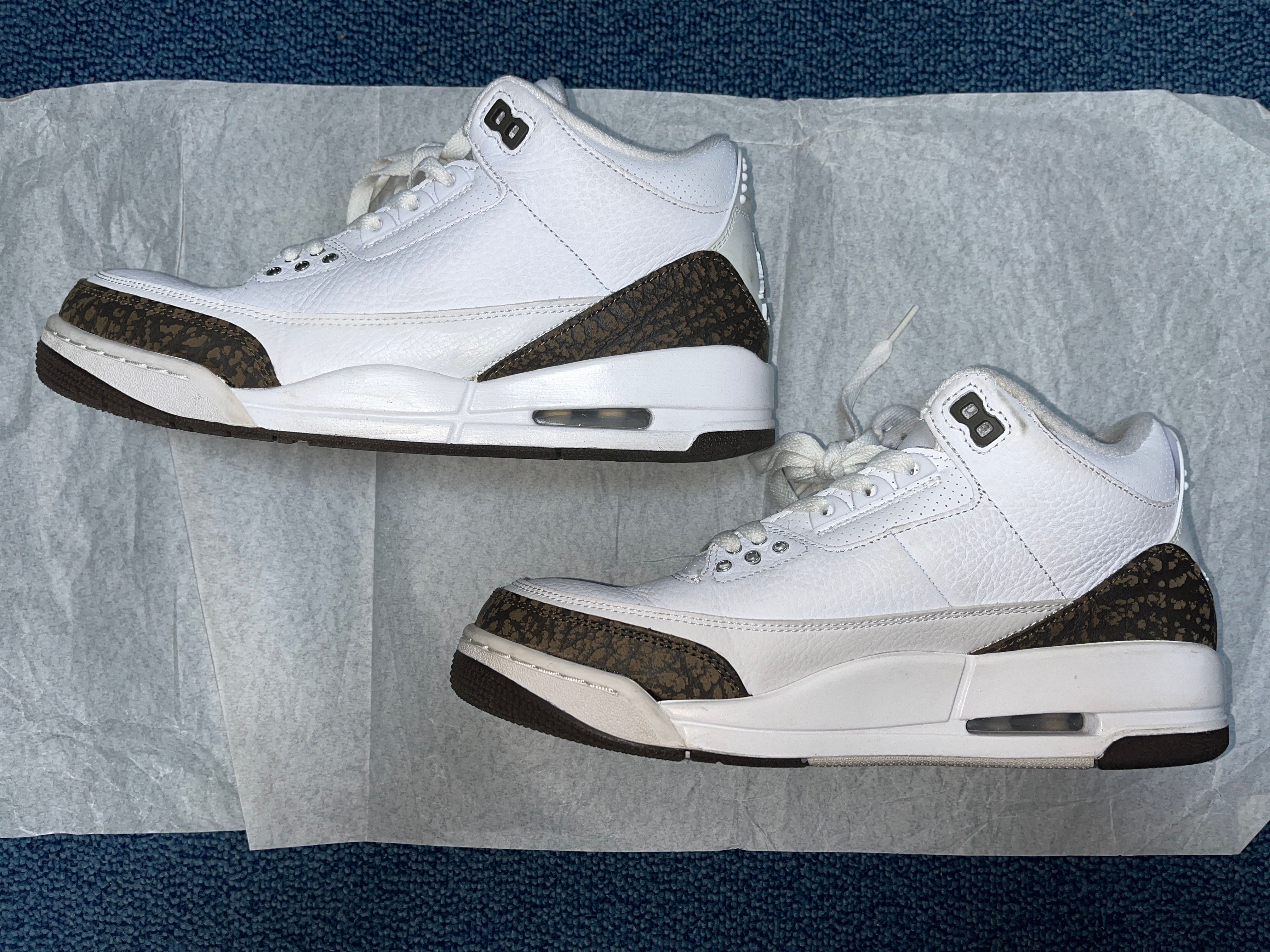 Nike Air Jordan 3 Retro "Mocha" (2018)