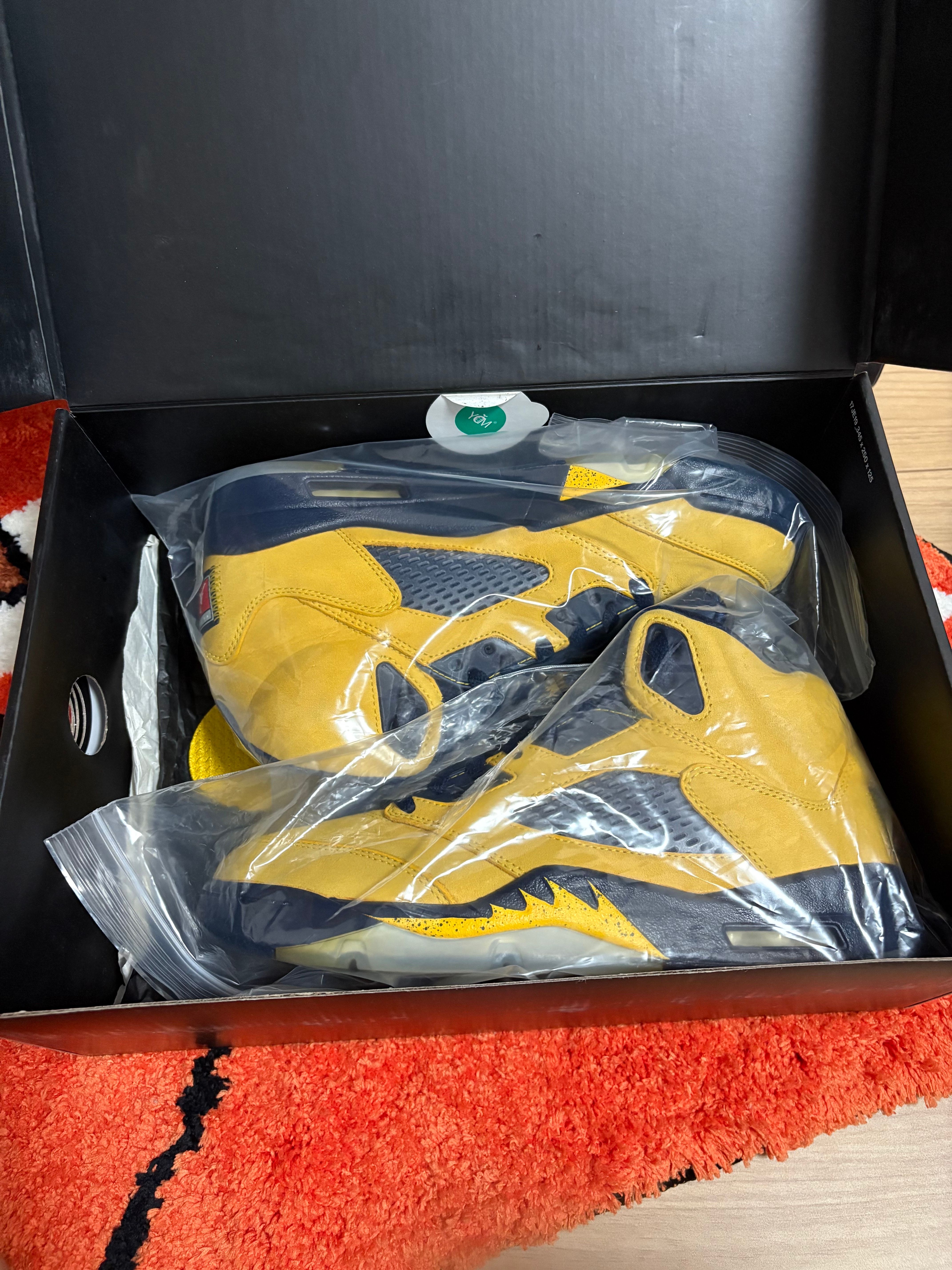 NIKE AIR JORDAN 5 "MICHIGAN"