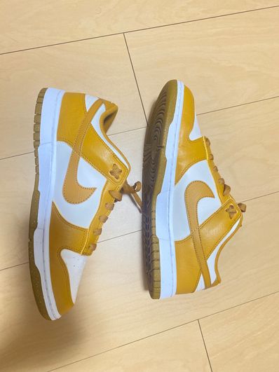 Nike WMNS Dunk Low Next Nature