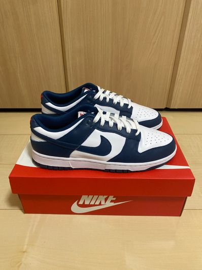 Nike Dunk Low "Valerian Blue"