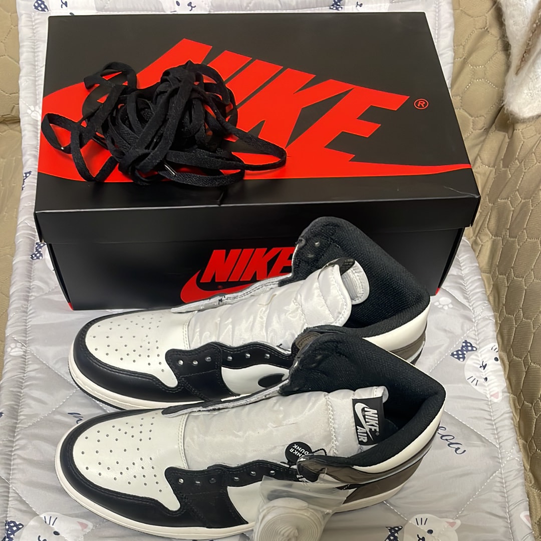 ナイキ エアジョーダン1 ハイ OG "セイル/ダークモカ/ブラック"