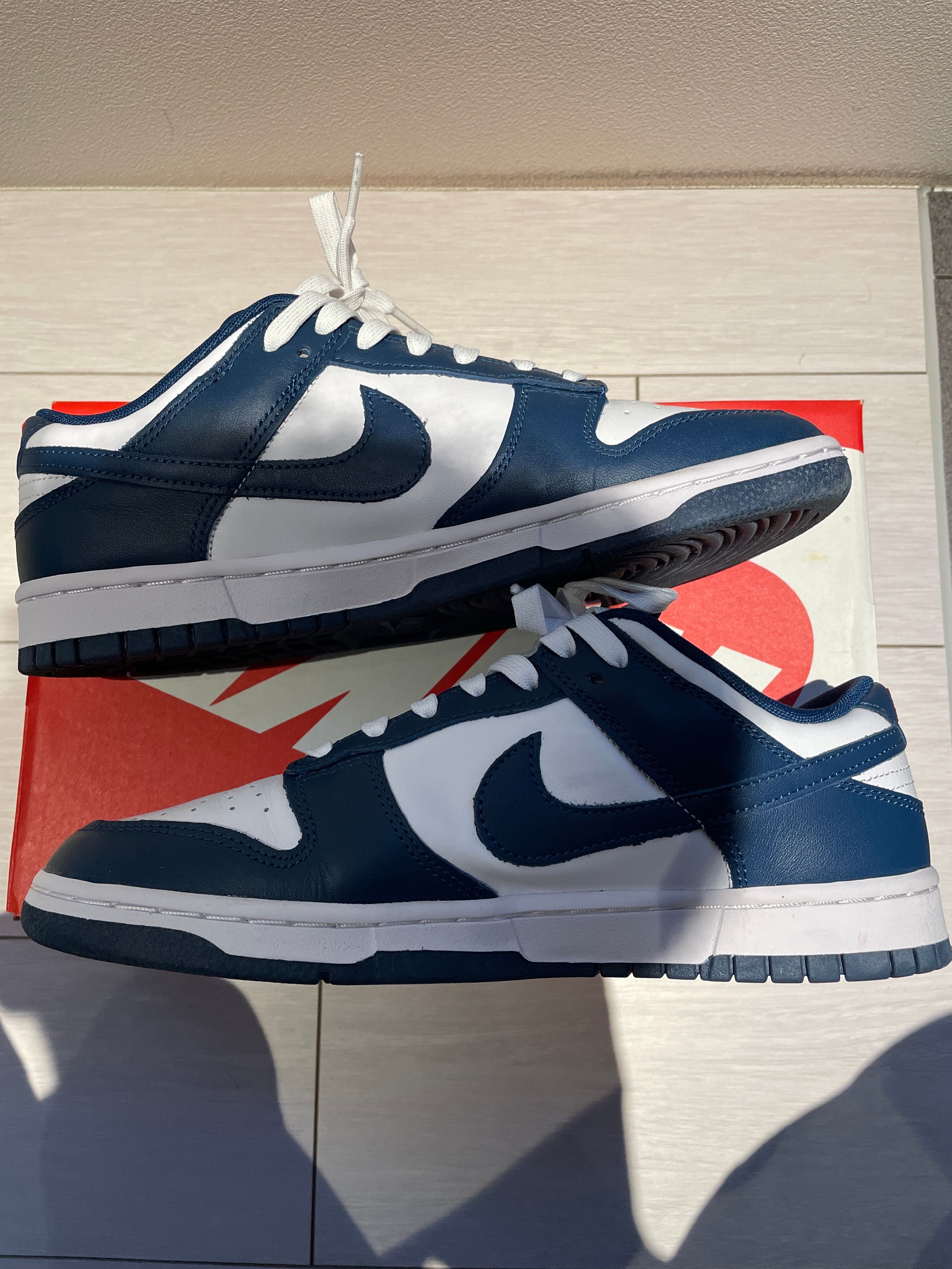 Nike Dunk Low "Valerian Blue"