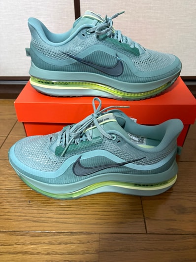 Nike Pegasus Premium "Cannon"
