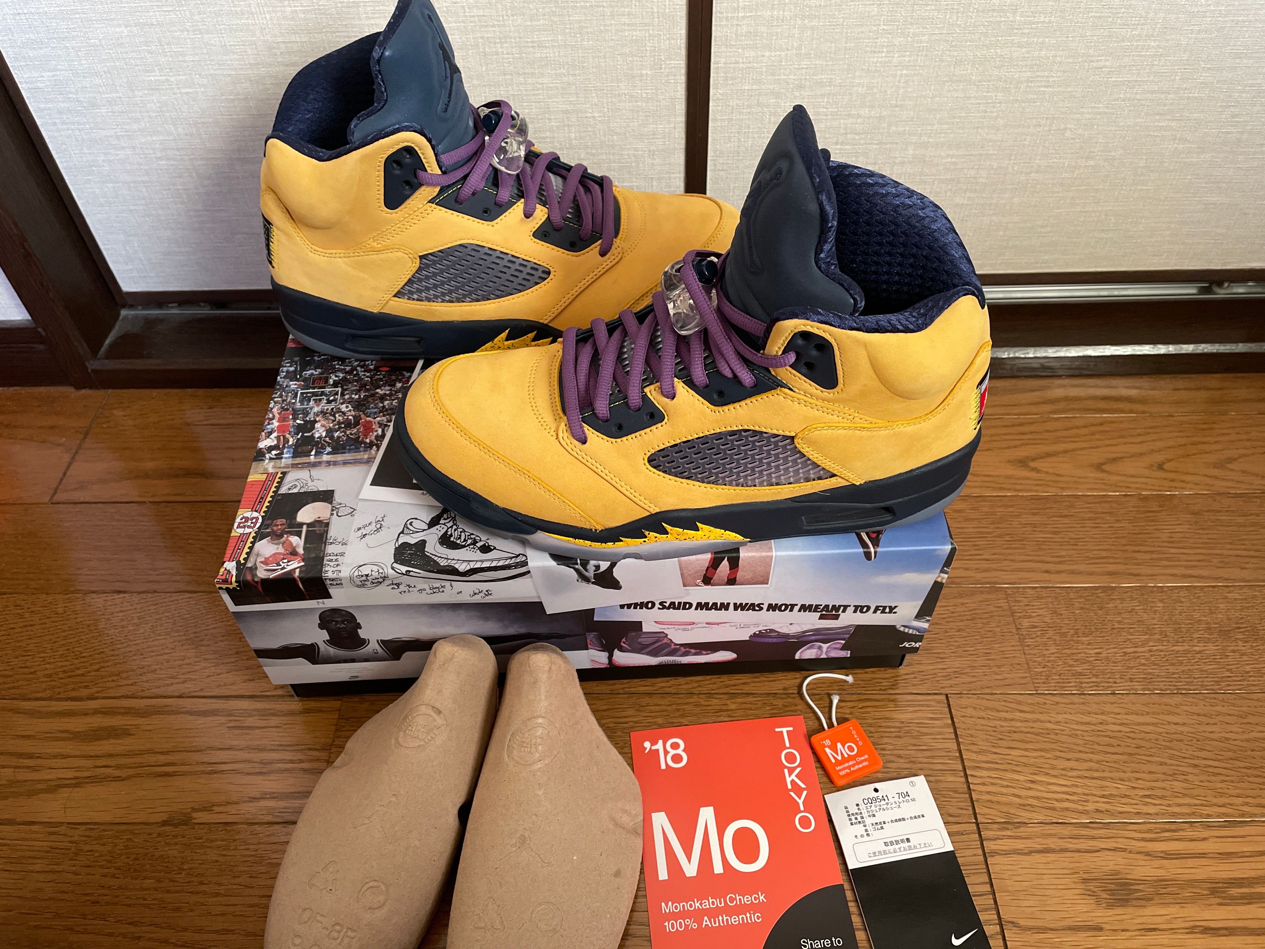 NIKE AIR JORDAN 5 "MICHIGAN"