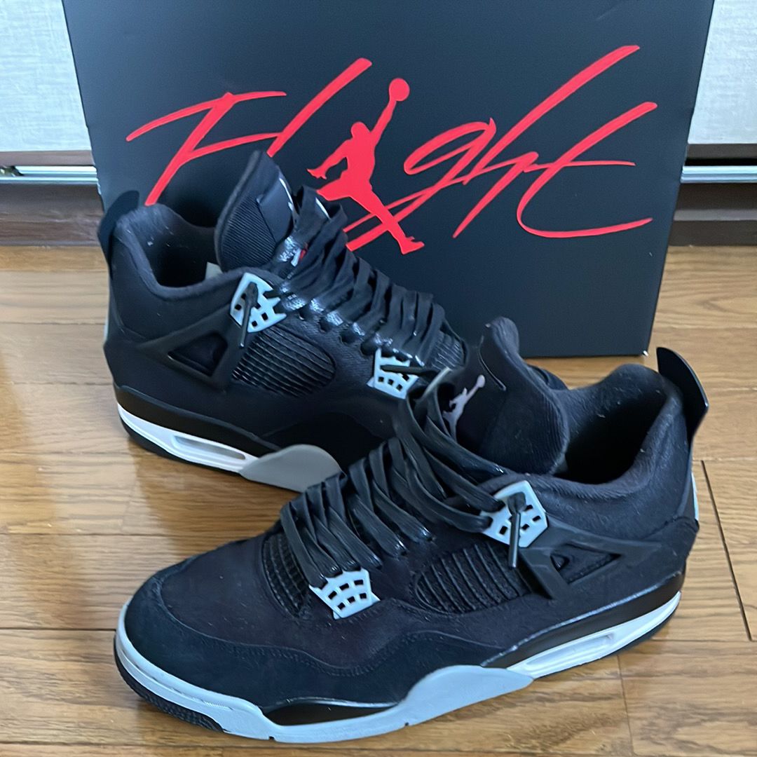 Nike Air Jordan 4 SE "Black and Light Steel"