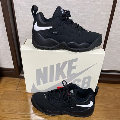 Supreme × Nike SB Darwin Low "Black"