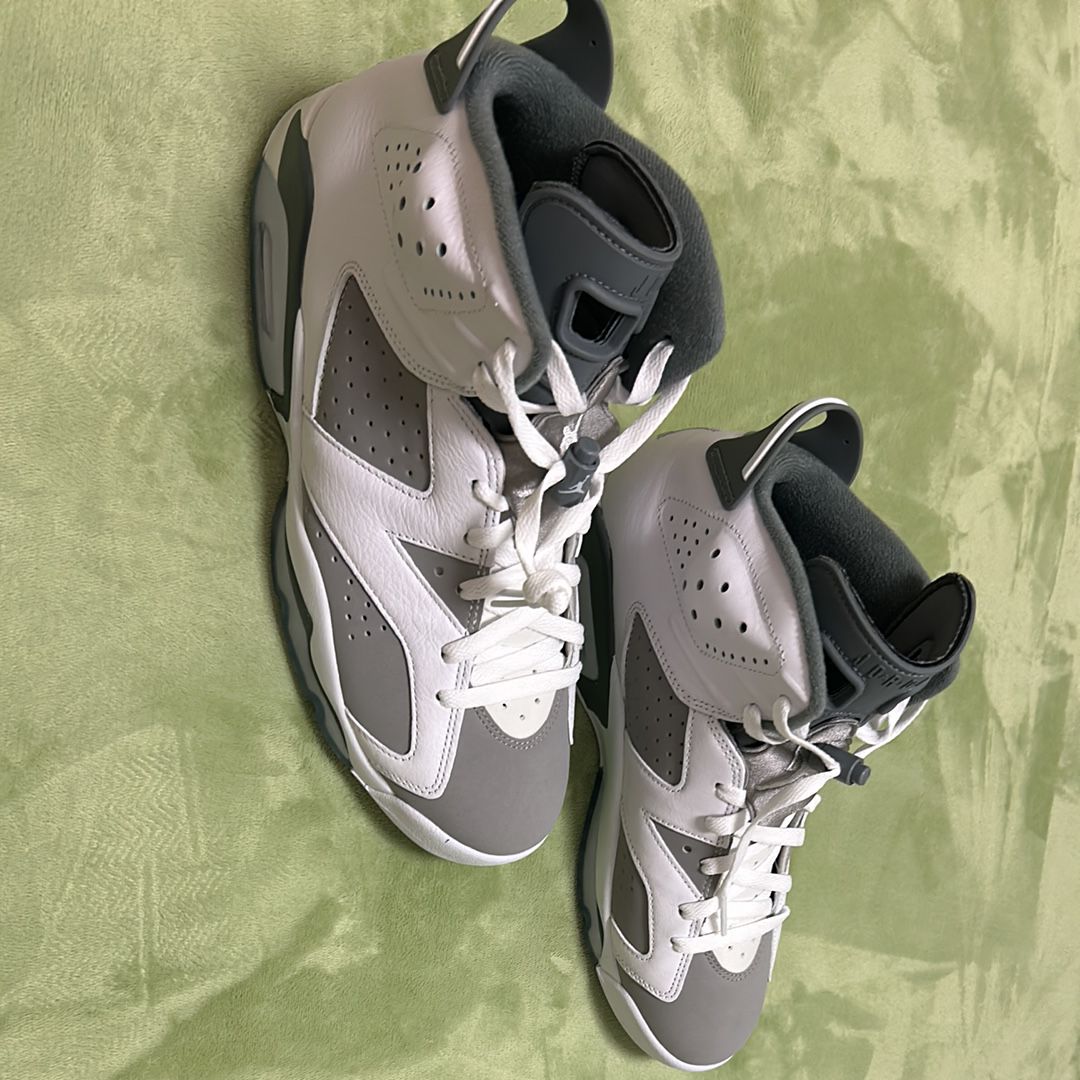 Nike Air Jordan 6 "Cool Grey"