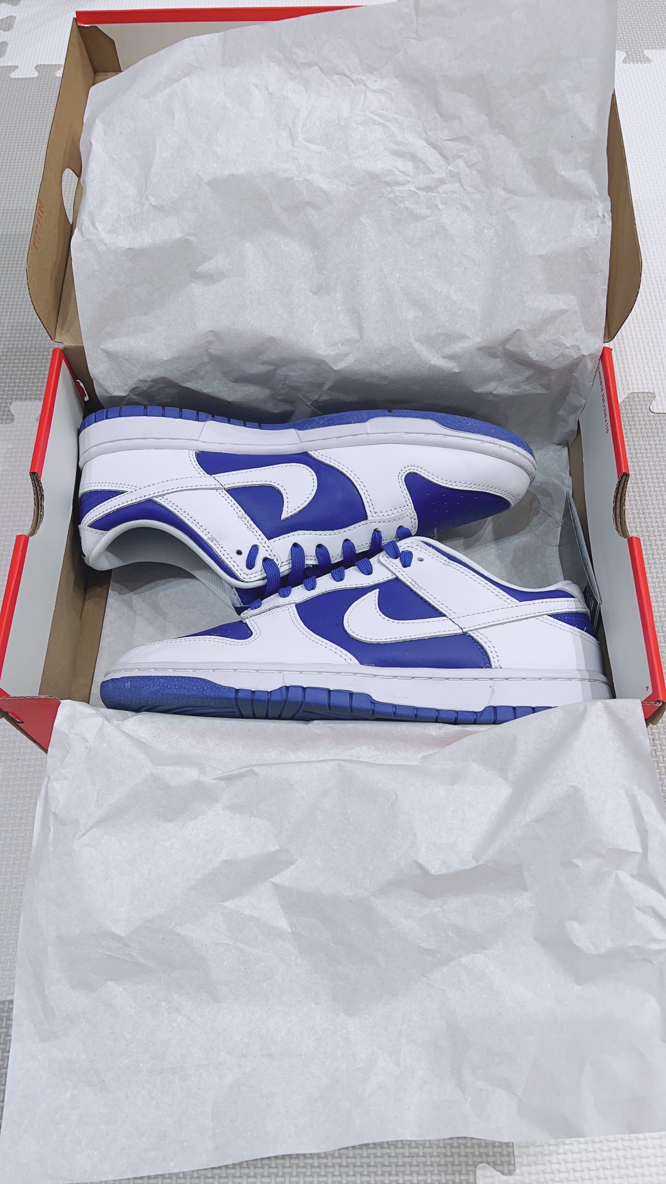 Nike Dunk Low Retro "Racer Blue and White"