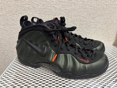 Nike Air Foamposite Pro "Sequoia"