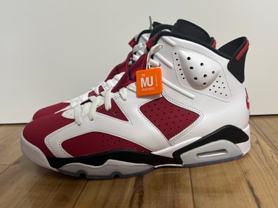 Nike Air Jordan 6 "Carmine" (2021)