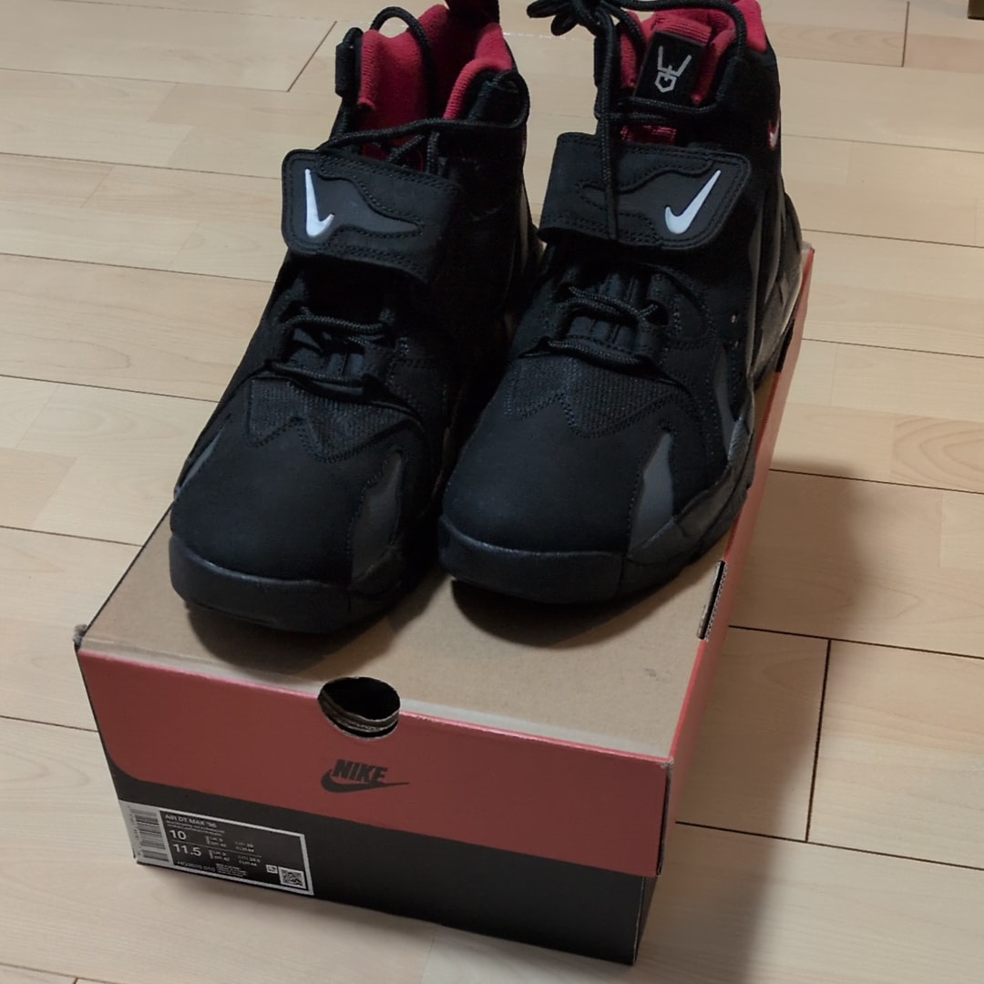 Nike Air DT Max 96 "Falcons"