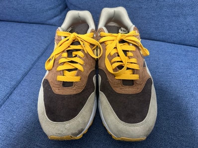 Nike Air Max 1 Duck Pack "Pecan and Yellow Ochre"