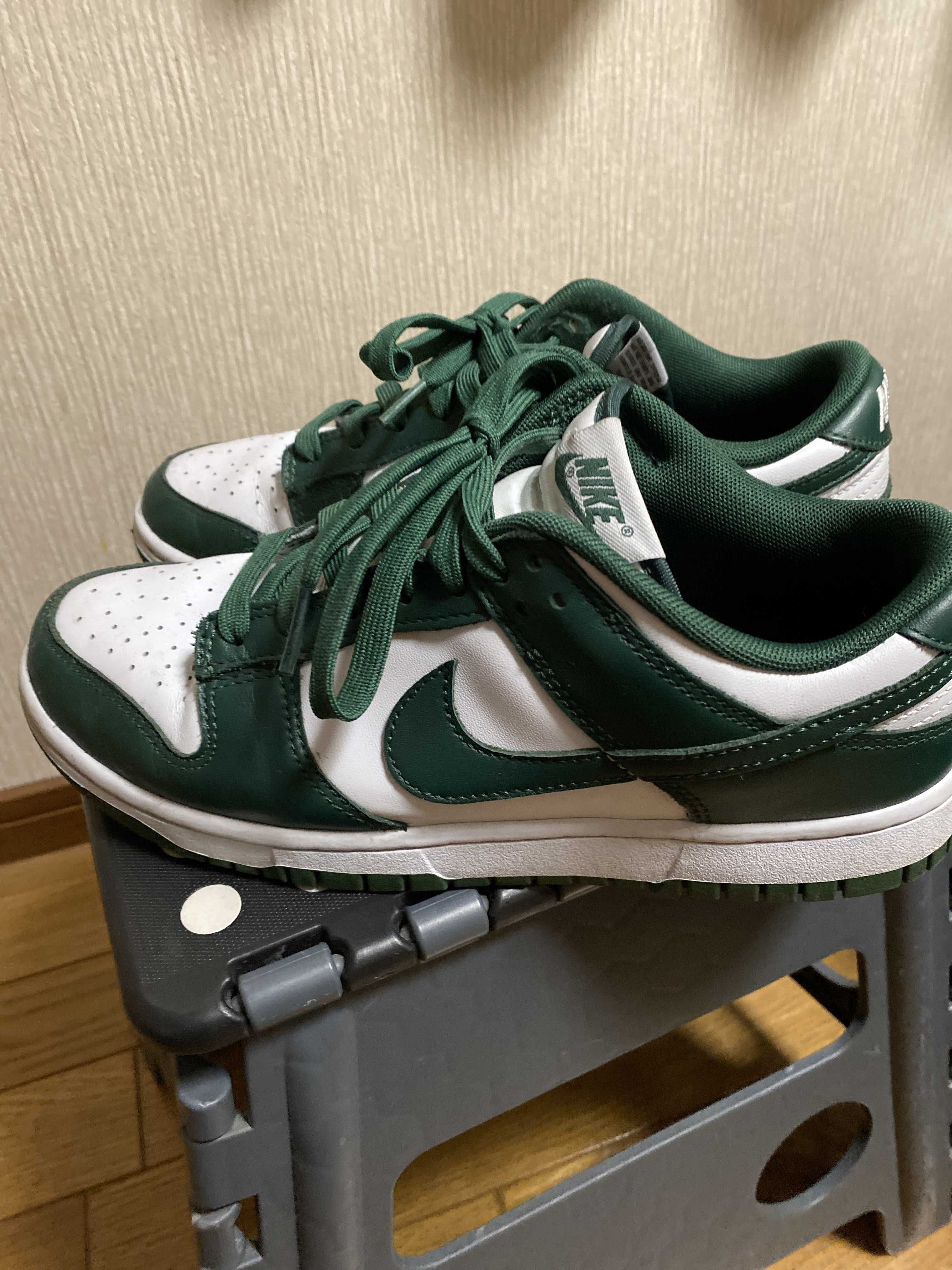 Nike Dunk Low Retro "Varsity Green/Team Green"