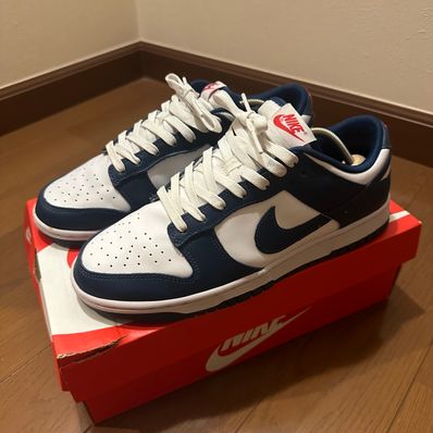 Nike Dunk Low "Valerian Blue"