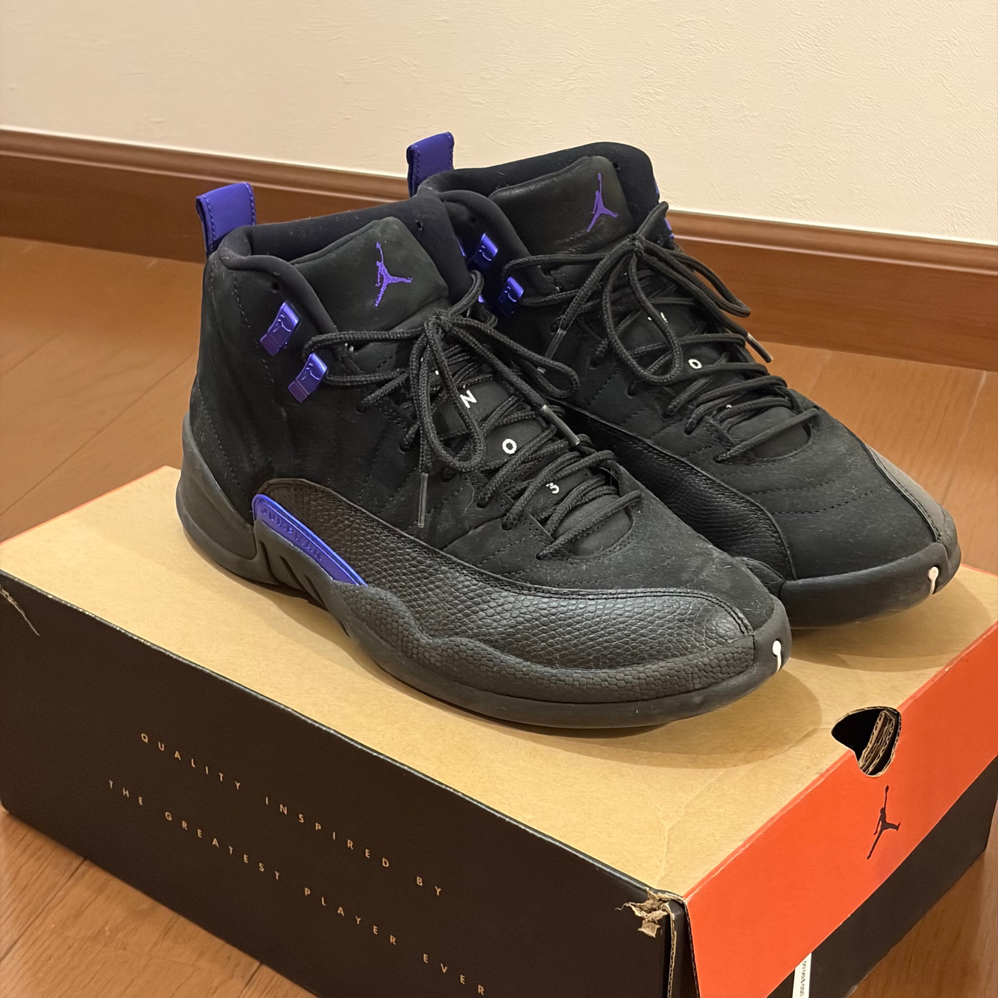 Nike Air Jordan 12 Retro "Dark Concord"