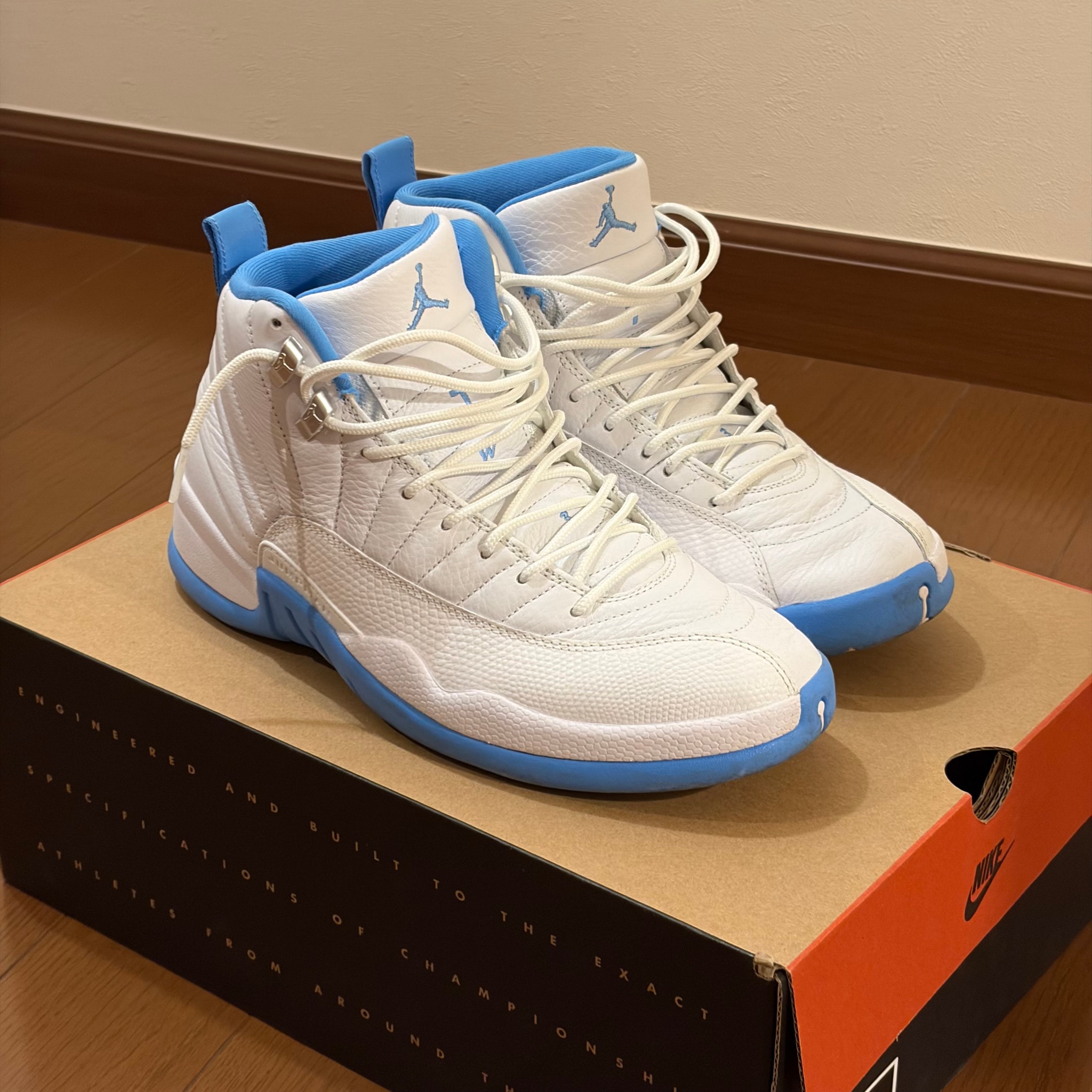 Nike Air Jordan 12 Retro "Melo" (2025)