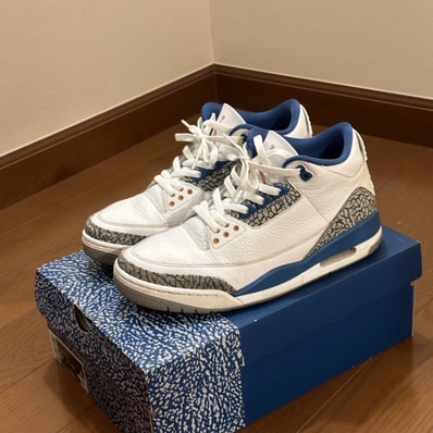 Nike Air Jordan 3 Retro "True Blue and Copper"