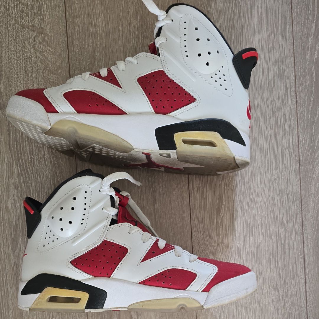 Nike Air Jordan 6 "Carmine" (2021)