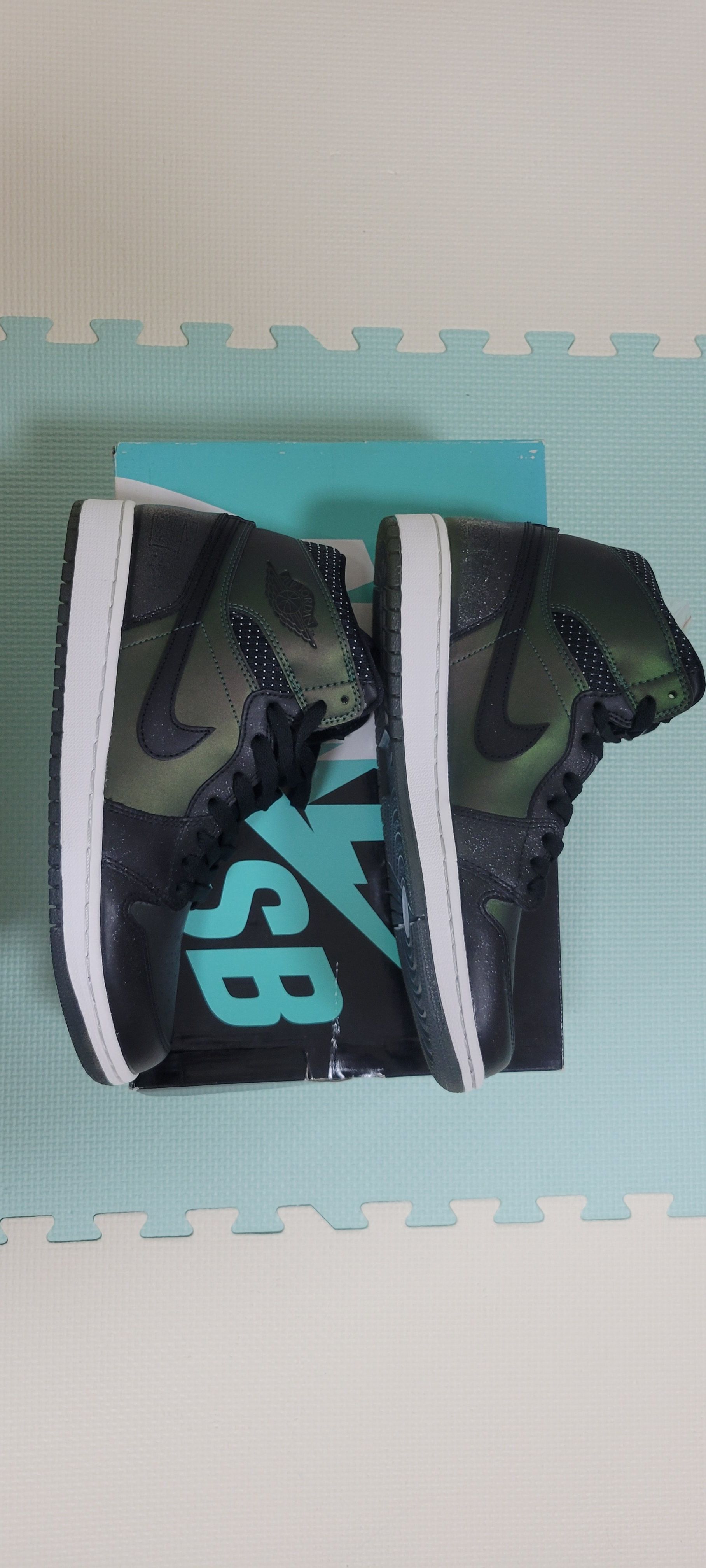 Nike SB Air Jordan 1 High "Craig Stecyk Black Silver"