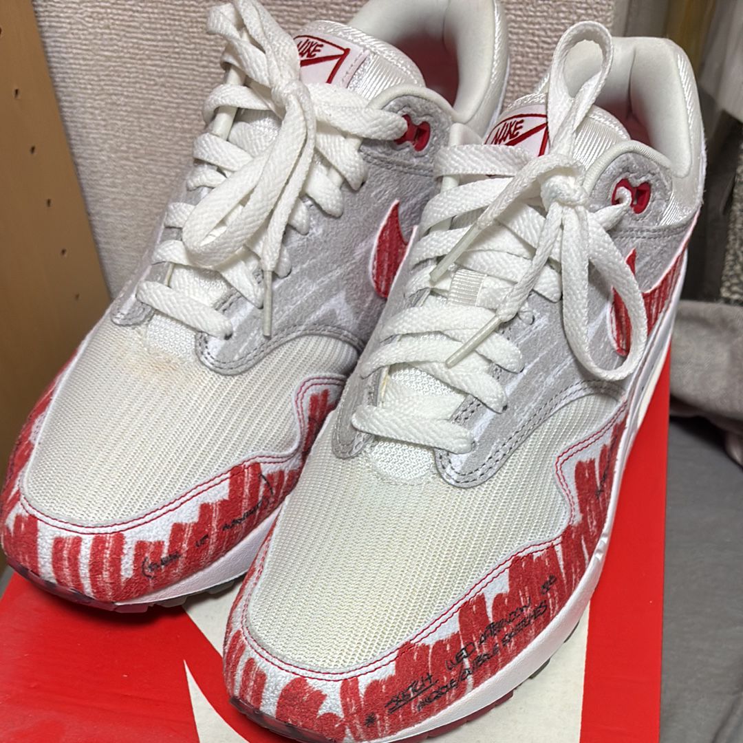 Nike Air Max 1 "Tinker Hatfield Sketch"