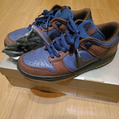 Nike SB Dunk Low "Barf"