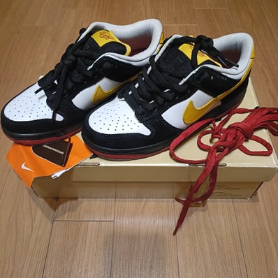 Nike SB Dunk Low Emb Pro "Rodrigo Gerdal"