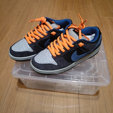 Nike SB Dunk Low "Patagonia"