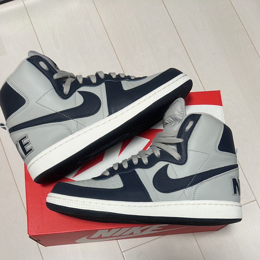 Nike Terminator High "Georgetown/Granite and Dark Obsidian"(2022)