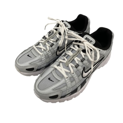 Nike P-6000 "Pure Platinum"
