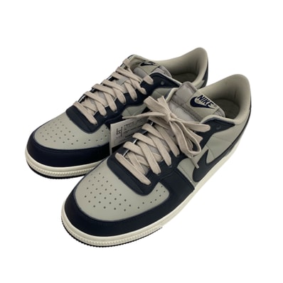 Nike Terminator Low "Dark Obsidian and Granite/Georgetown"(2023)