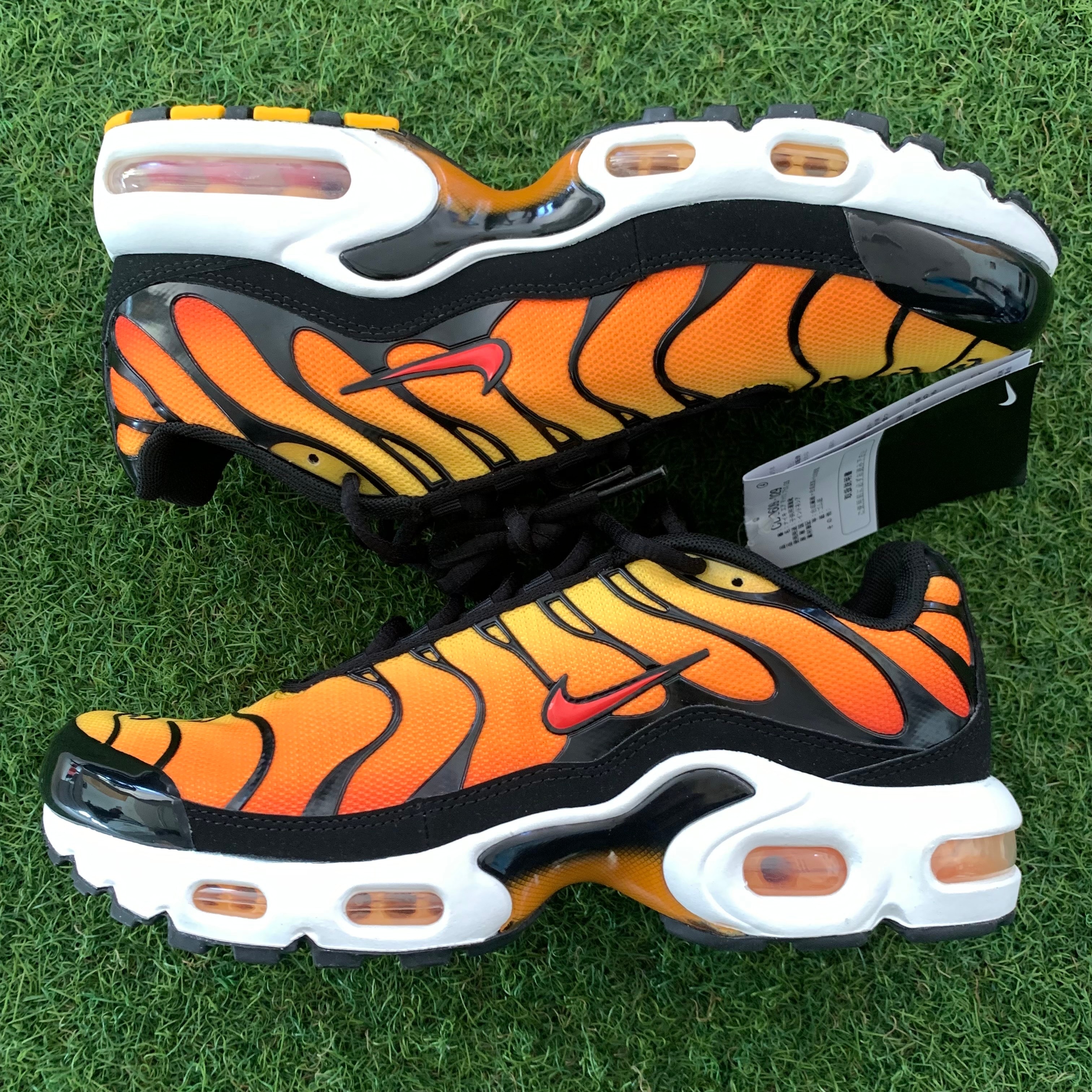 Nike GS Air Max Plus "Black/Bright Ceramic/Resin/Pimento"
