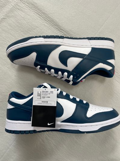 Nike Dunk Low "Valerian Blue"